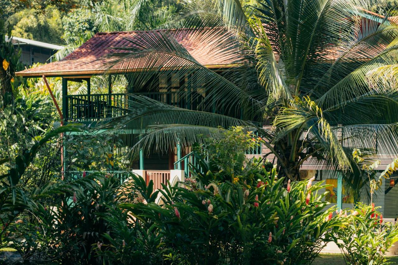 Casa De Mono Bocas Bed & Breakfast Big Creek Exterior photo
