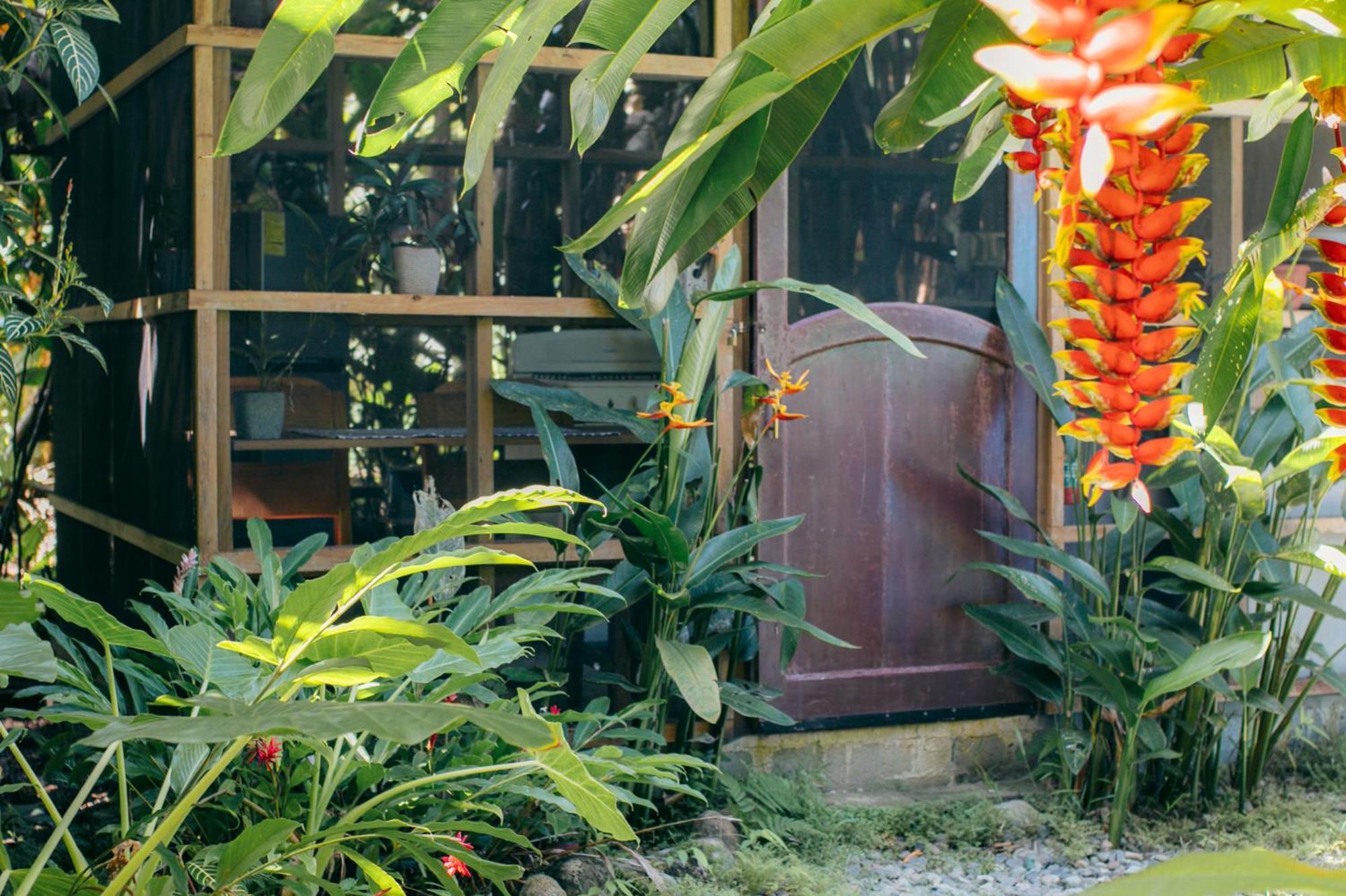 Casa De Mono Bocas Bed & Breakfast Big Creek Exterior photo
